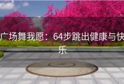 广场舞我愿：64步跳出健康与快乐