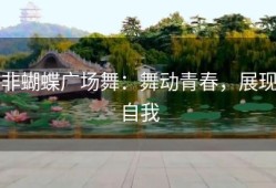 非蝴蝶广场舞：舞动青春，展现自我