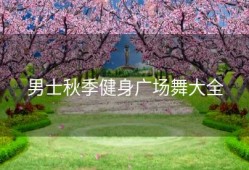 男士秋季健身广场舞大全