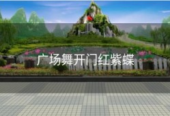 广场舞开门红紫蝶