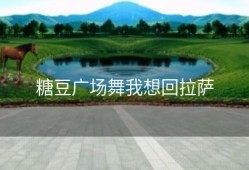 糖豆广场舞我想回拉萨