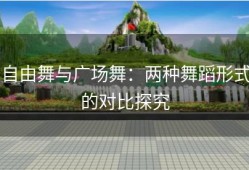 自由舞与广场舞：两种舞蹈形式的对比探究