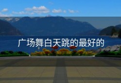 广场舞白天跳的最好的