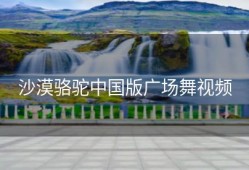 沙漠骆驼中国版广场舞视频