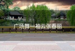 广场舞一袖云张春丽