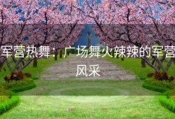 军营热舞：广场舞火辣辣的军营风采