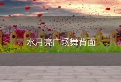 水月亮广场舞背面