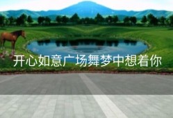 开心如意广场舞梦中想着你