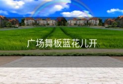 广场舞板蓝花儿开