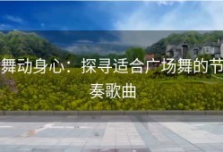 舞动身心：探寻适合广场舞的节奏歌曲
