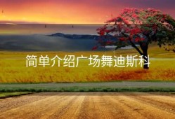 简单介绍广场舞迪斯科