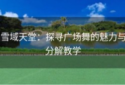 雪域天堂：探寻广场舞的魅力与分解教学
