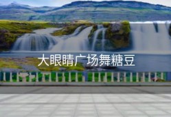 大眼睛广场舞糖豆