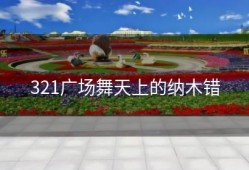 321广场舞天上的纳木错