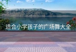 适合小学孩子的广场舞大全