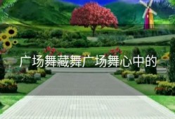 广场舞藏舞广场舞心中的
