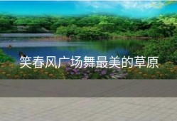 笑春风广场舞最美的草原