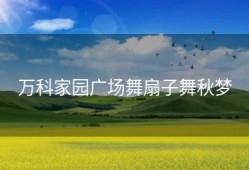 万科家园广场舞扇子舞秋梦