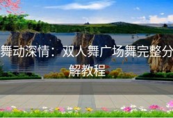 舞动深情：双人舞广场舞完整分解教程
