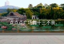 点点点广场舞十三不亲
