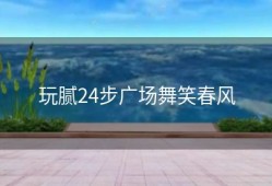 玩腻24步广场舞笑春风