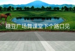 糖豆广场舞课堂下个路口见