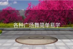 各种广场舞简单易学