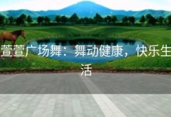 萱萱广场舞：舞动健康，快乐生活