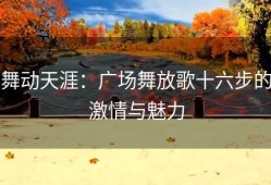 舞动天涯：广场舞放歌十六步的激情与魅力