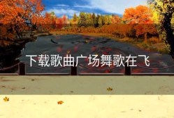下载歌曲广场舞歌在飞