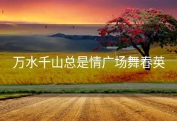 万水千山总是情广场舞春英