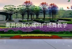 离开你我心痛吗广场舞教学