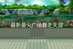 最新最火广场舞走天涯