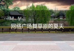 网络广场舞草原的夏天