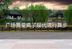 广场舞爱疯了现代流行舞步