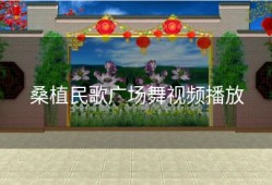 桑植民歌广场舞视频播放