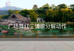 广场舞红尘情歌分解动作