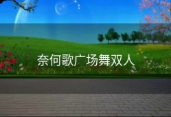 奈何歌广场舞双人