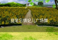 提笔忘情妃儿广场舞