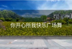 你开心所我快乐广场舞