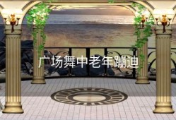 广场舞中老年蹦迪