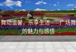 舞动温馨，乐享生活——广场舞的魅力与感悟