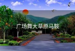 广场舞大草原马鞍