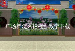 广场舞怎么拍视频教学下载