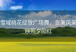 雪域桃花绽放广场舞，吉美风采映照夕阳红