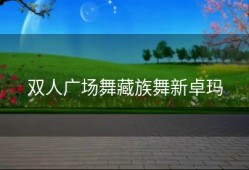 双人广场舞藏族舞新卓玛