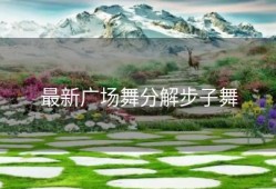 最新广场舞分解步子舞