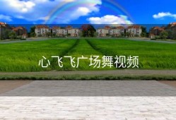 心飞飞广场舞视频