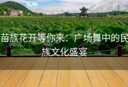 苗族花开等你来：广场舞中的民族文化盛宴
