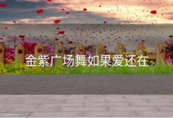 金紫广场舞如果爱还在